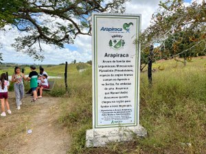 [Vídeo] Festa dos 101 anos de Arapiraca tem desfile, inaugurações e show de Claudia Leitte