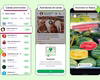 Onde os anúncios vão aparecer no WhatsApp? Veja o que muda no app