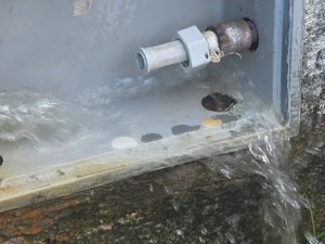 Hidrômetro é furtado e deixa vazamento de água na Cruz das Almas