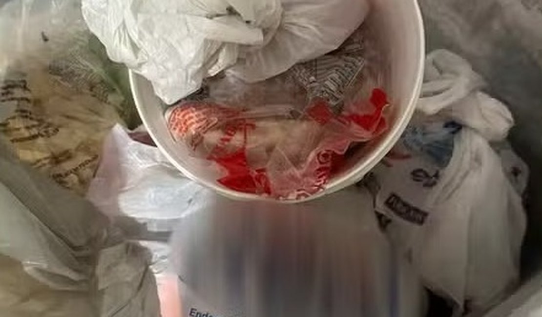 Pizza de carne de sol na nata pode ter causado infecção em mais de 100 pessoas e morte