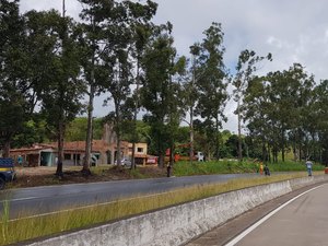 [Vídeo] Árvores que ameaçavam cair na BR-101 são removidas pela PRF