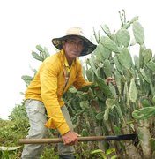 Prefeitura de Girau do Ponciano divulga datas de pagamento para famílias agricultoras