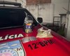 Homem é preso por tráfico de drogas no bairro Cidade Universitária