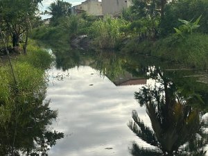 Morte de peixes no Rio Maceiozinho é alvo de investigação