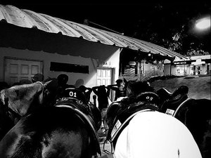 Homem é detido por populares após roubar celular, em Arapiraca 