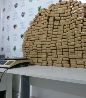 Polícias de Alagoas e Sergipe apreendem mais de 200 quilos de maconha prensada