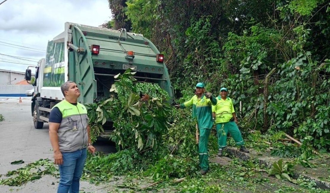 Alurb realiza intervenções em árvores no bairro da Gruta de Lourdes