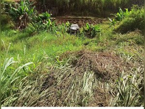 Condutor desvia de pedestre e sofre acidente em São Luís do Quitunde