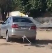 PC identifica motorista que arrastou cachorro em ruas do Village Campestre