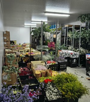 Sefaz encontra R$ 100 mil em flores sem nota fiscal em depósito irregular em Alagoas