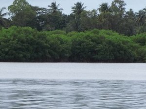 Defesa Civil orienta evacuação no entorno da Lagoa Manguaba: risco de transbordamento
