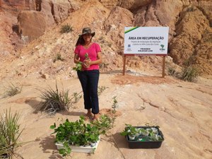 Ufal visa recuperar áreas que sofrem erosão em Japaratinga