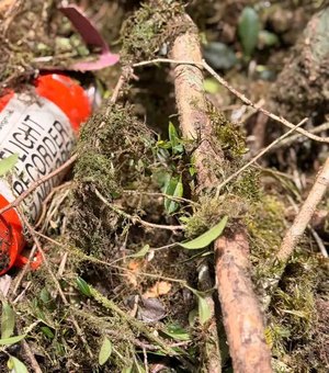 Cenipa recupera caixa-preta de helicóptero que levava cantor Rick