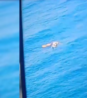 Marinha resgata 8 pessoas no mar de Cabo Frio após pouso forçado