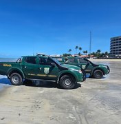 Ibama apreende embarcação de pesca irregular na Praia de Maragogi