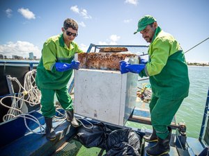 Ecoboats retiram 260 toneladas de resíduos do mar no 1º semestre de 2025