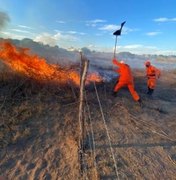 Alagoas registra queda de 7% nas ocorrências de incêndios em vegetação em 2024