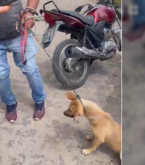 Homem é flagrado arrastando cachorro preso a uma corda com uma moto, em Arapiraca
