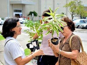 Blitz Sustentável doará mais de mil mudas em semáforo de Maceió
