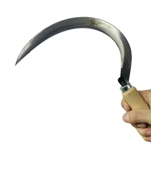 Homem invade casa com facão e foice, ameaça ex e joga tijolo contra filha em Rio Largo