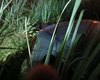 Homem é encontrado morto dentro de carro em canavial no Benedito Bentes, em Maceió