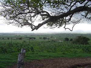 Homem invade casa na zona rural de Arapiraca e leva criança para um matagal