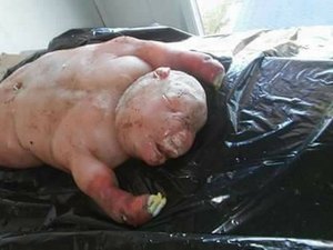 Cordeiro nasce com semelhança humana e assusta moradores