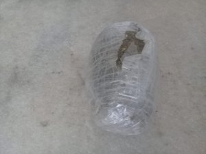 Mulher tentar entrar em presídio com maconha escondida na vagina