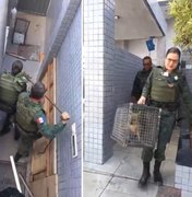 Raposa fica presa em lixeira de prédio na Serraria e é resgatada pelo BPA