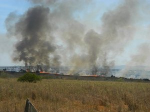Calor provoca queimadas em terrenos e lixão de Arapiraca
