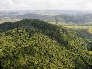 Justiça suspende decreto que transferia concessão de florestas para o Ministério da Agricultura