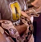 Animais silvestres mantidos ilegalmente são resgatados de residência na Mangabeiras