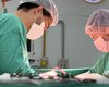HGE inicia o fim de semana realizando captação de dois rins e um fígado para transplante