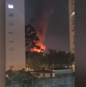 Incêndio destrói galpão de Vic Meireles, florista de celebridades, em São Paulo