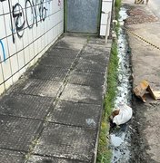 Corpo esquartejado é encontrado dentro de saco plástico no bairro do Jacintinho
