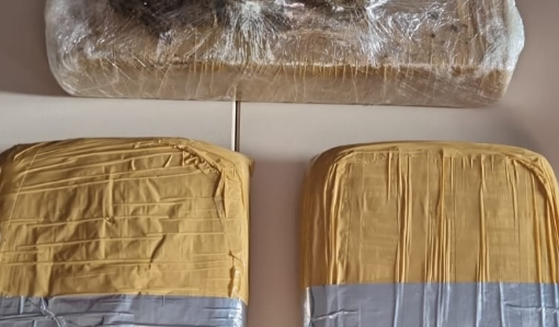 Operação apreende 6,8kg de maconha enviada por transportadoras em Maceió