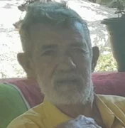 Idoso morre após ser atacado por enxame de abelhas na zona rural de Lagoa da Canoa