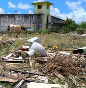 MPAL encontra lixo, animais soltos e risco sanitário em terreno do Tabuleiro dos Martins