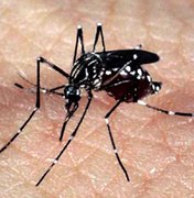 Especialistas alertam para epidemias de Zika e Chikungunya no verão