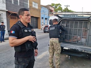 Polícia deflagra operação contra diversos crimes em AL e prende mais de 20 suspeitos