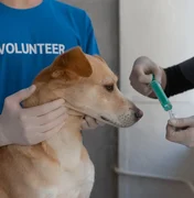 Câmara dos Vereadores discute criação de farmácia veterinária solidária