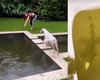 Anita fica assustada ao encontrar iguana na piscina da casa de Miami