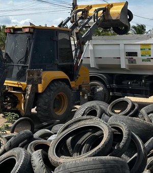 Programa da Secretaria de Meio Ambiente coleta 297 toneladas de pneus usados em 2024