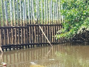 Base Avançada de Porto de Pedras do Peixe-Boi retorna ao CMA