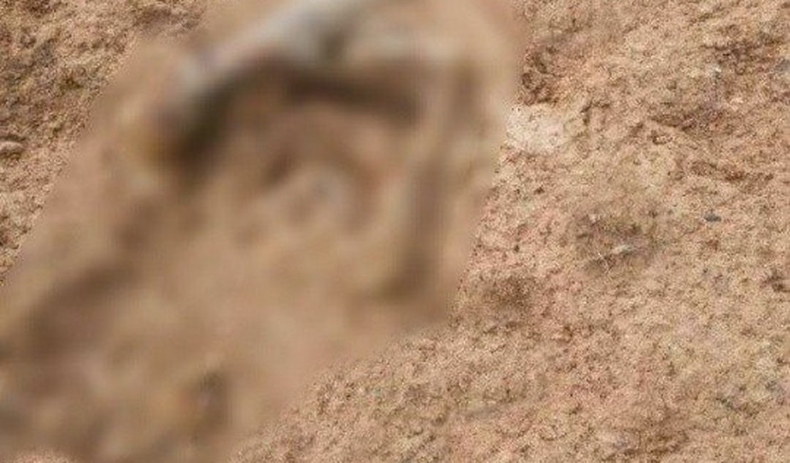 Corpo de marceneiro é encontrado em decomposição dentro de casa, em Maceió
