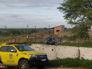 Operação conjunta da Policia Civil e Militar prende envolvidos em tráfico de drogas em Palmeira