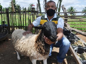 Emater e FAPEAL divulgam resultado definitivo de aprovados para 3ª fase da seleção de bolsistas