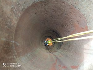 Gato é resgatado pelo Corpo de Bombeiros após cair dentro de uma Cacimba desativada, em Arapiraca