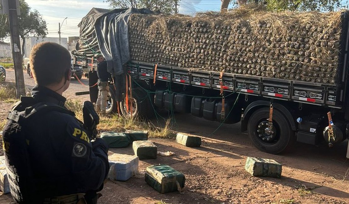 PRF apreende quase meia tonelada de cocaína em caminhão carregado com abacaxi
