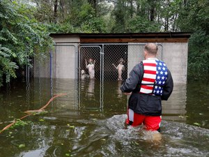 Fotógrafo narra resgate de cães presos em canil durante enchente provocada por furacão Florence